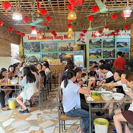 Hang Mua Lotus Homestay 宁平 外观 照片