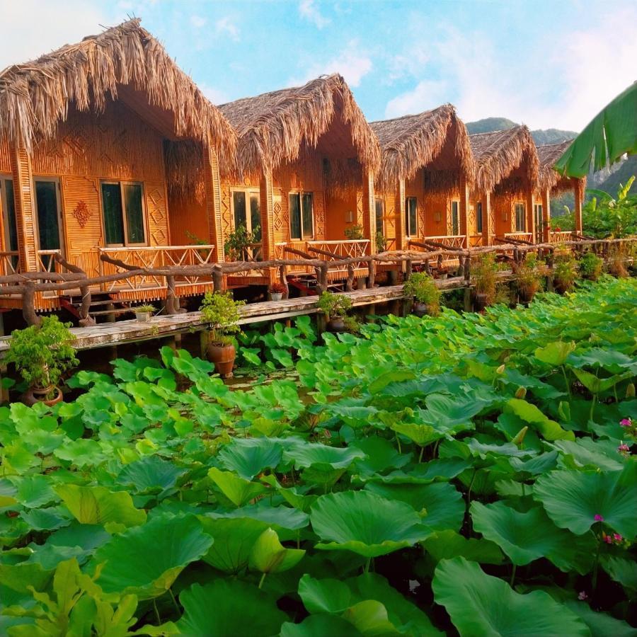 Hang Mua Lotus Homestay 宁平 外观 照片