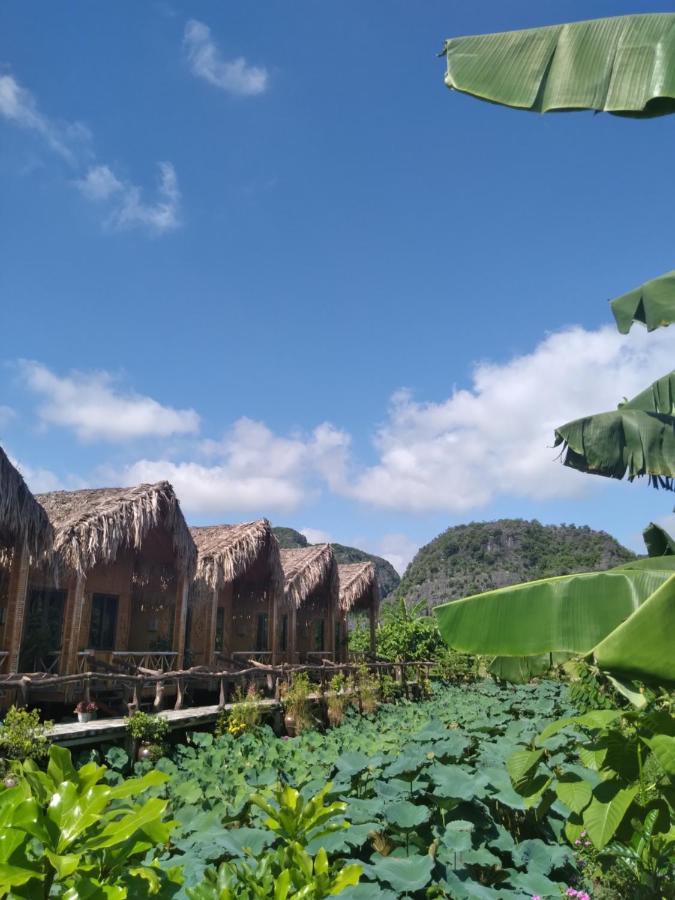 Hang Mua Lotus Homestay 宁平 外观 照片