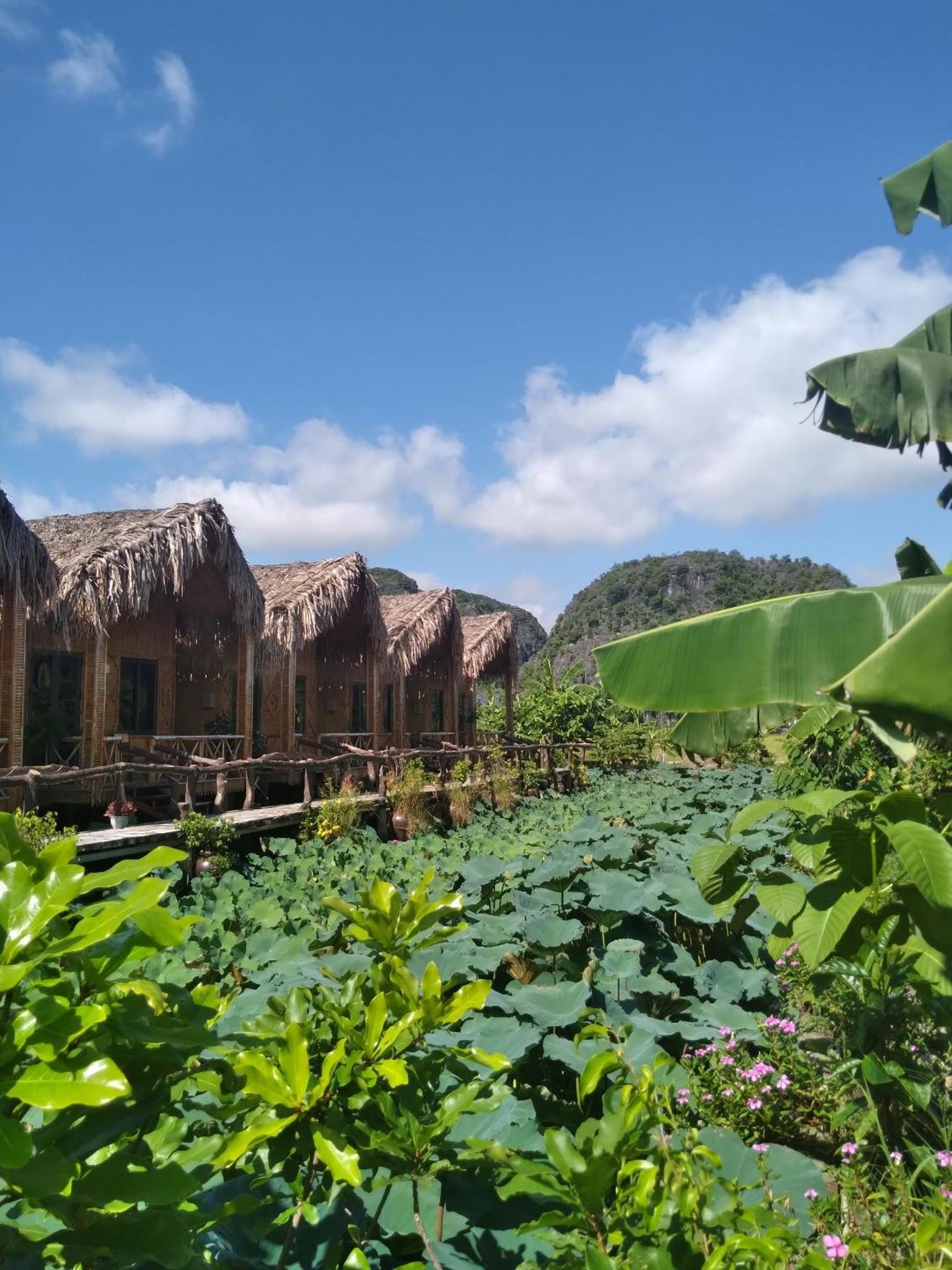 Hang Mua Lotus Homestay 宁平 外观 照片